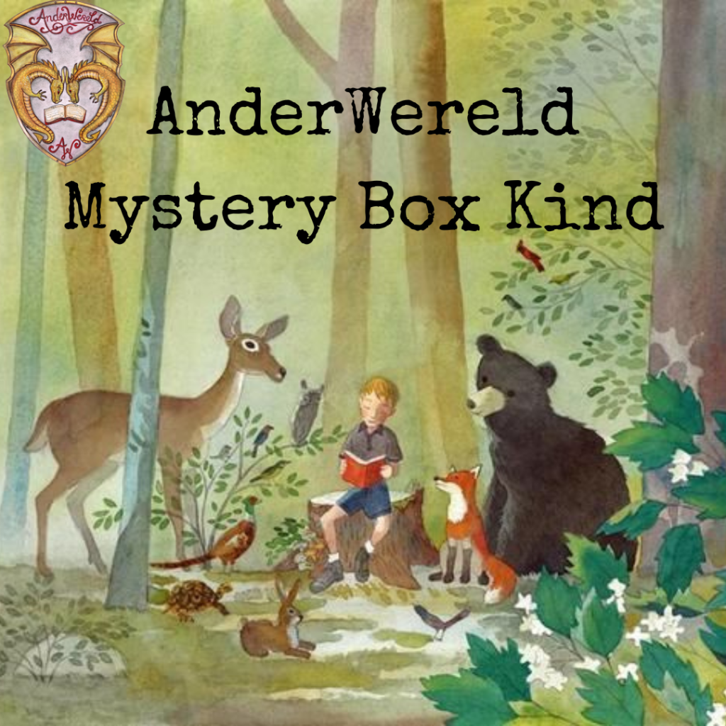 AnderWereld Mystery Box Kind