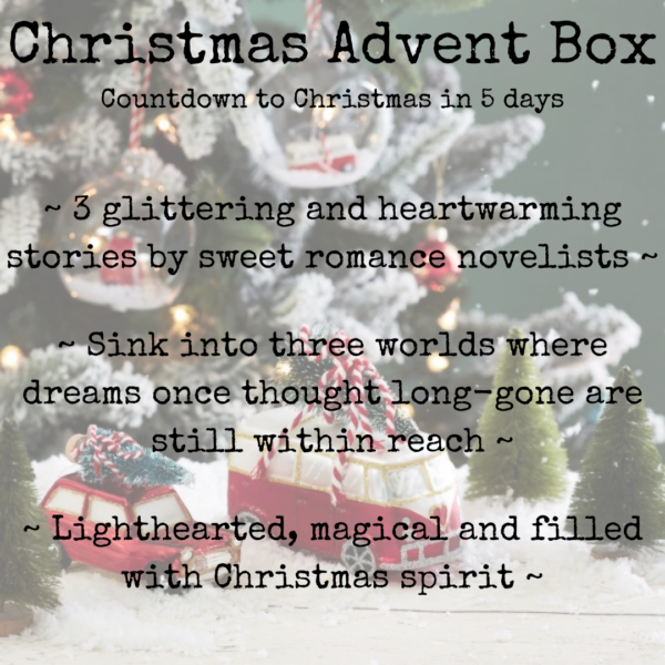 Christmas Advent Box