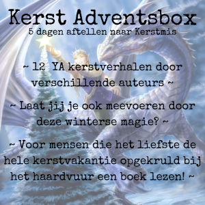 Kerst Adventsbox