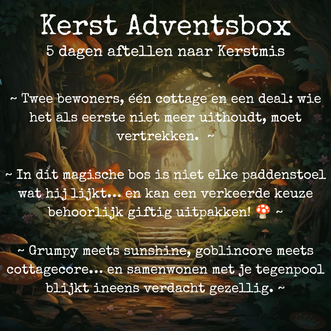 πβ¨ Kerst Advent Box β¨π